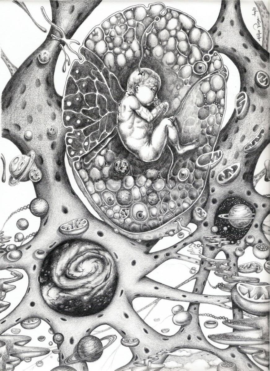 Внутреннее пространство митохондриального космоса